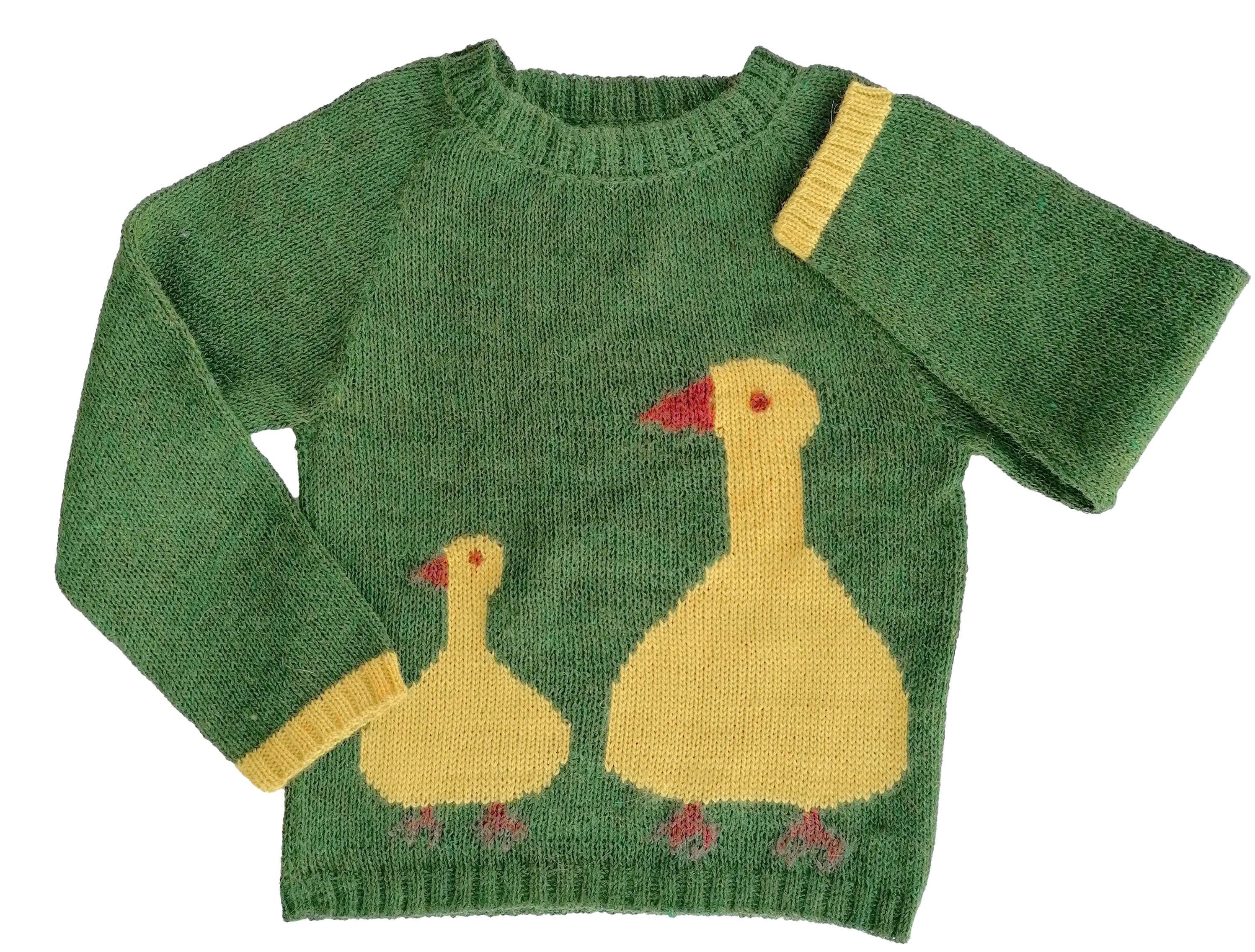 NW355 Duck in the Meadows Sweater